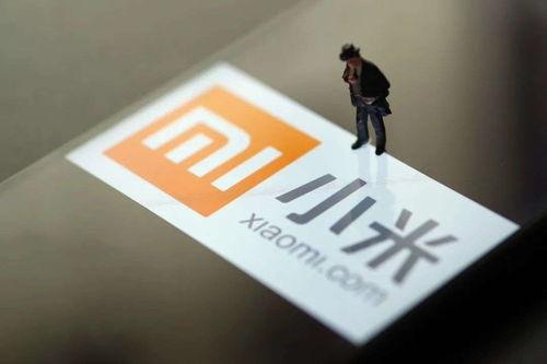 小米员工最新爆料,揭秘公司最新动态与未来规划”